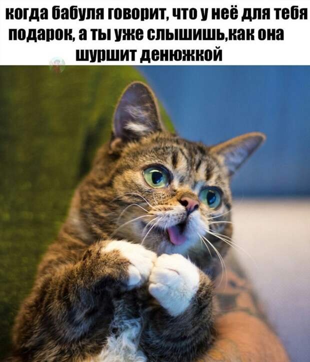 Картинки с надписями мем, прикол, юмор