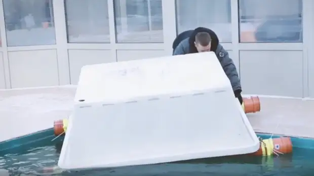 В Петербурге разработали укрытие для выкармливания детёнышей нерпы