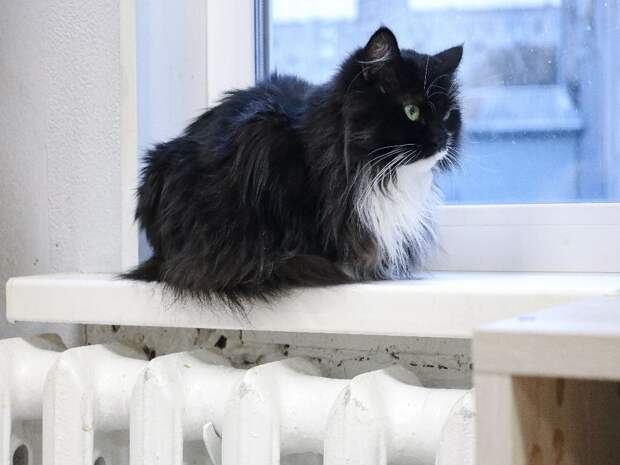 Повышения качества услуг теплоснабжения посчастливилось добиться для более 13 тысяч потребителей Тюменской области