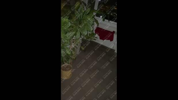 Киев сейчасVideo: Видео от Донецкая группа новостей|Донецк.ДНР