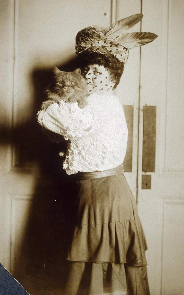 Фотография: Очаровательные винтажные кошки, которые докажут, что коты правили миром во все времена №19 - BigPicture.ru