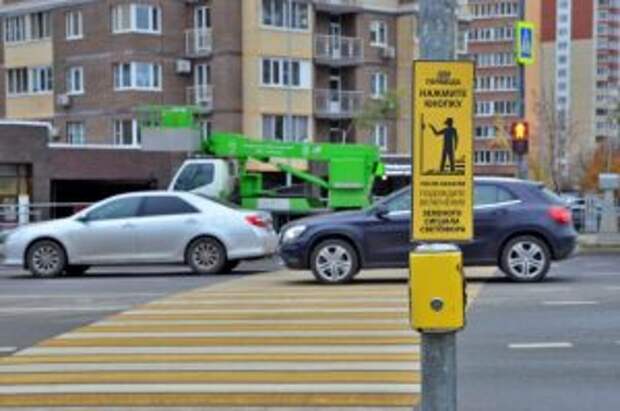 В Центральном округе проводится мероприятие "Пешеходный переход". Фото: Анна Быкова