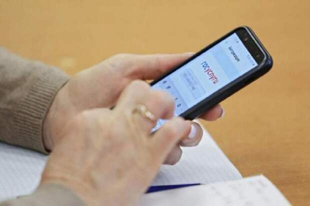 У некоторых пользователей вход на "Госуслуги" стал доступен только через MAX