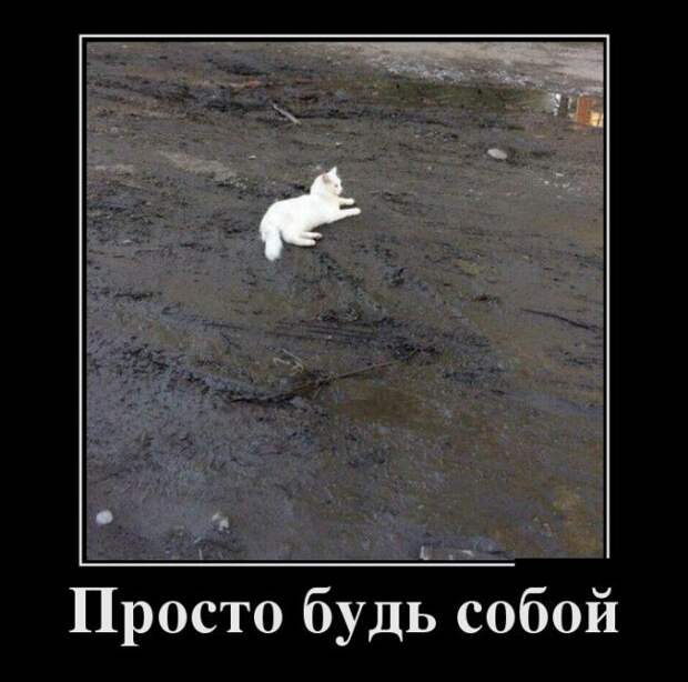 Демотиваторы демотиваторы, прикол, юмор