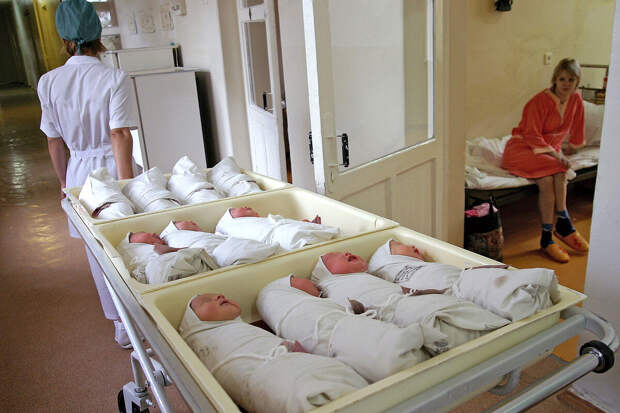 Экономист Грецова: расходы бюджета на поддержку семей не повышают рождаемость