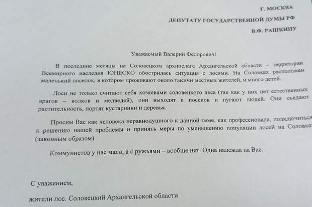 Не фейк, не шутка: Рашкина призывают в Архангельскую область стрелять лосей