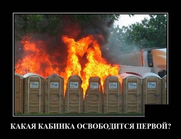 Демотиватор про туалеты
