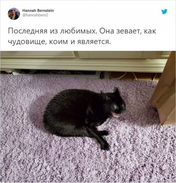 www.vsyako.net