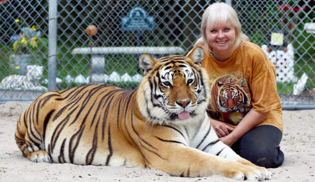 1.Дженис Хейли - матерь тигров. люди, соседи, странности