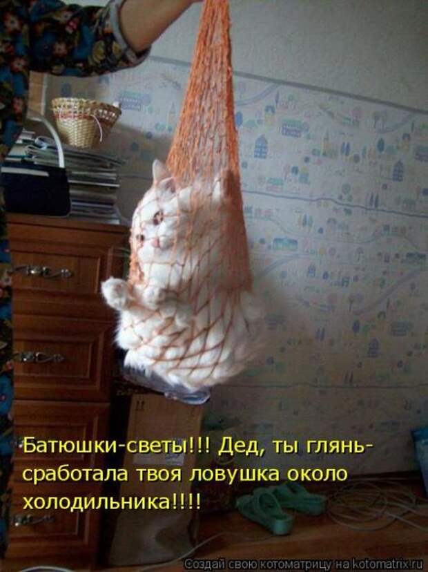 Мысли вслух :)