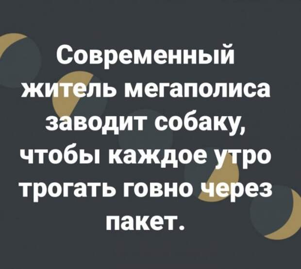 Юмор на любителя Юмор на любителя