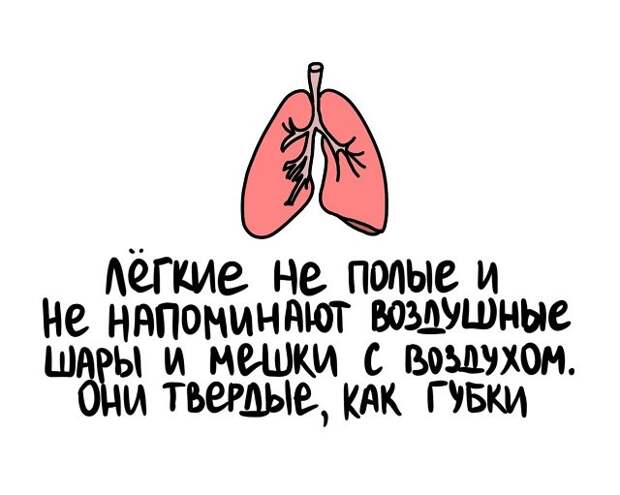 Интересные короткие факты на все случаи жизни