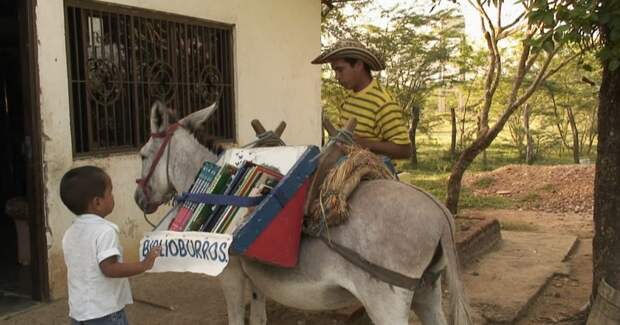 Луис Сориано уже 10 лет привозит на осле книги детям в отдаленные деревни Колумбии добро, мир, человек