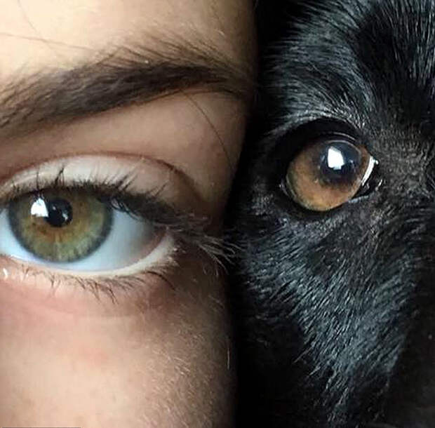 11-летняя Милли вместе со своей собакой по кличке Уиллоу. Фото: Millie Rodgers. 11-летняя Милли вместе со своей собакой по кличке Уиллоу. Фото: Millie Rodgers.