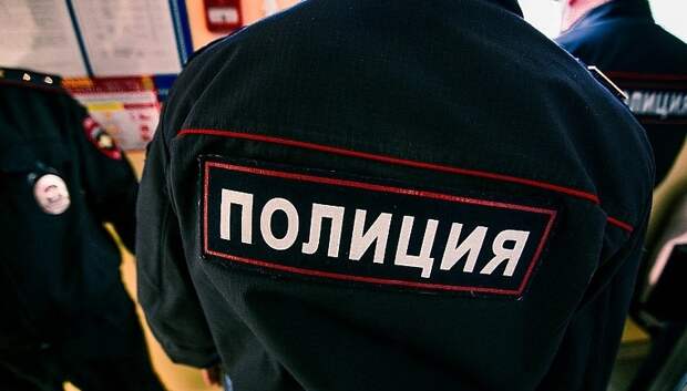 Полицейские Подольска раскрыли 7 краж за прошедшую неделю
