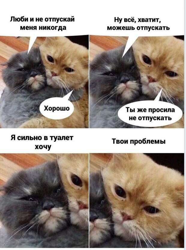 М и Ж, и что там между ними М и Ж, и что там между ними