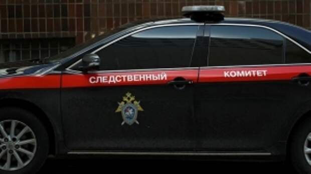 Председатель СК России поручил возбудить уголовное дело по факту хулиганских действий в отношении школьницы в Костромской области