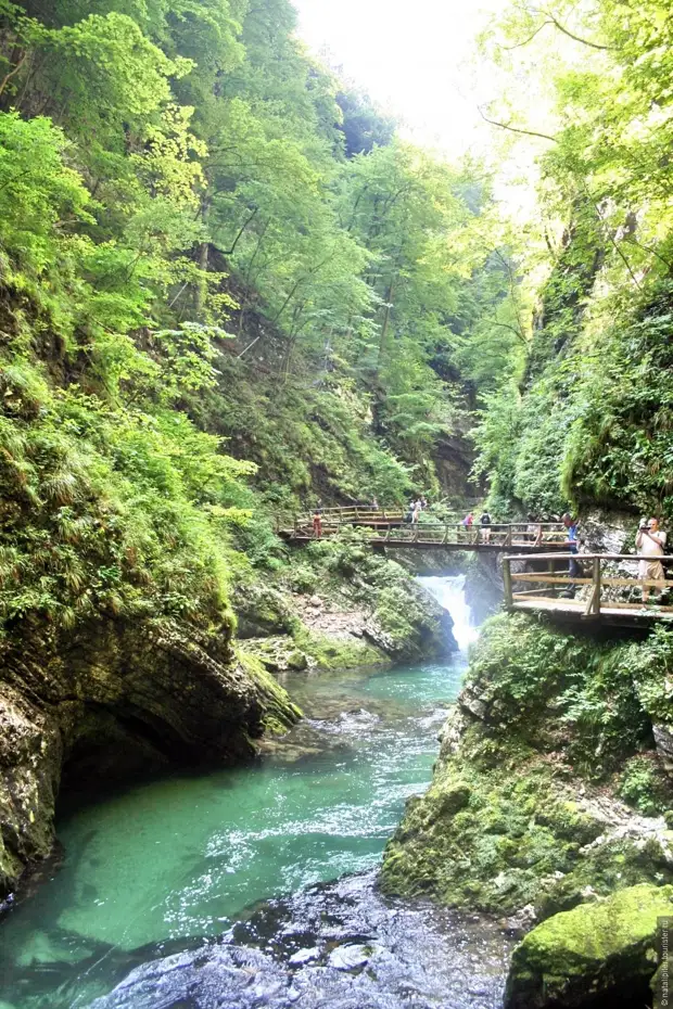 Ущелье Винтгар, Словения