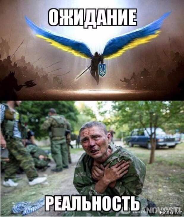 f1a2a2f0befc.jpg