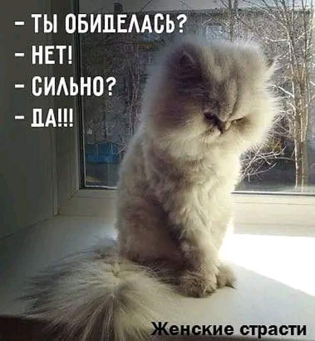 Подборка юмора, который наполнит жизнь позитивом