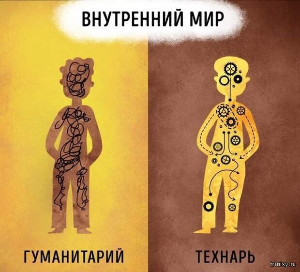 Технарь и гуманитарий