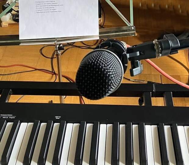 В центре на Онежской выступит финалист музыкального теле-шоу