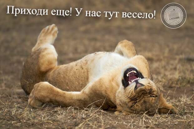У нас весело!