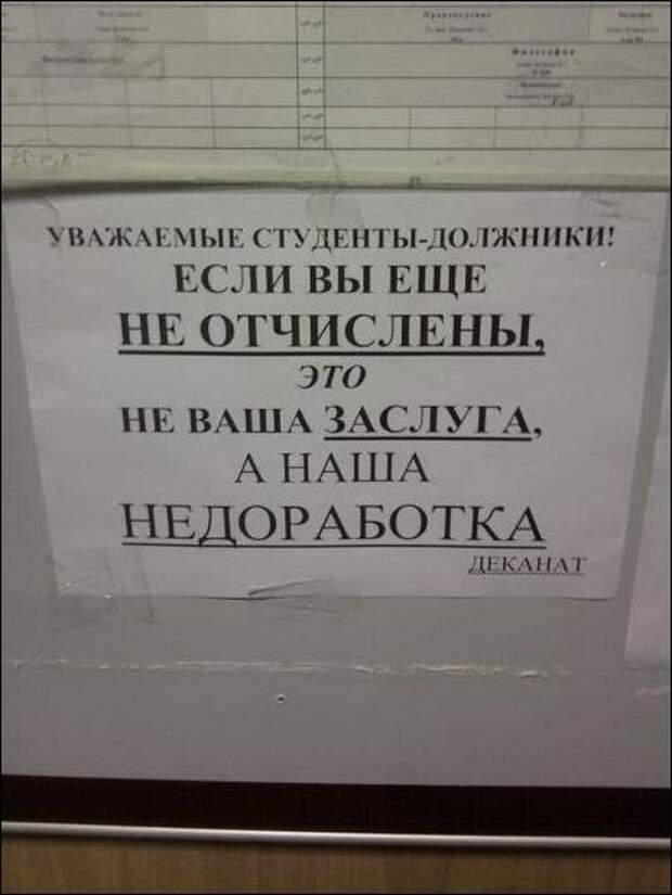 Высшее отчисленное