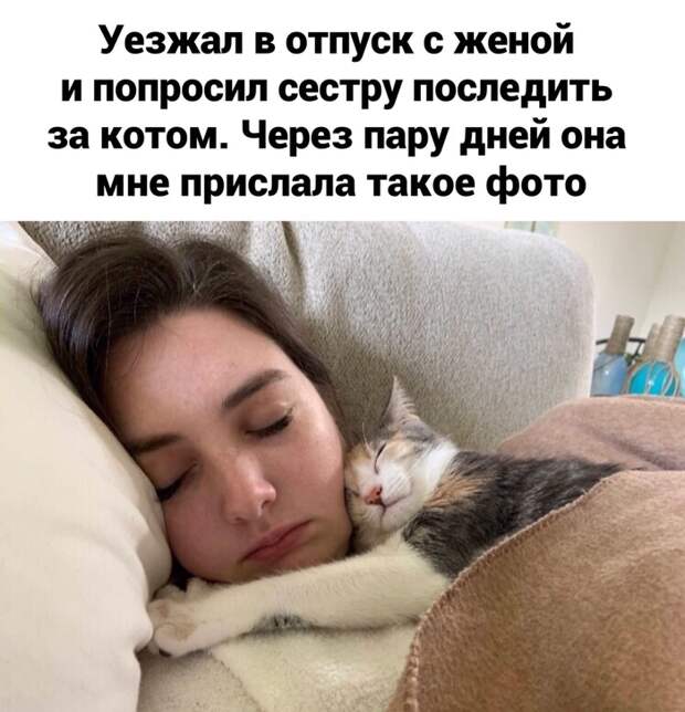 Подружились