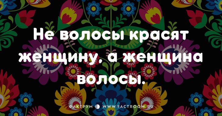 20 смешных современных поговорок, которых вы ещё не слышали 20 смешных современных поговорок, которых вы ещё не слышали