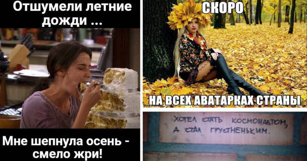 Вот почему осенью лучше уезжать из России листья, осень, печаль, прикол, юмор