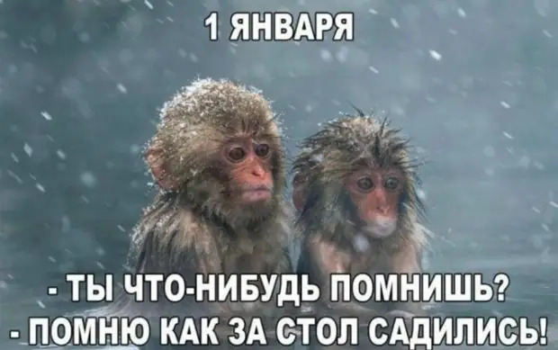 Вчера звонили из Почты России. Спрашивали, где я заказывал такой хороший чай Вчера звонили из Почты России. Спрашивали, где я заказывал такой хороший чай Марковича, нейтрона, человек, школу, только, семечки, нужно, просто, всетаки, атомной, Простите, кладут, потом, рассказывают, водить, спрошу, Привет, мамы…Жена, Давай, купим