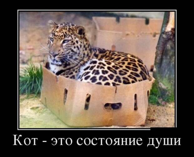 Демотиваторы (30 фото)