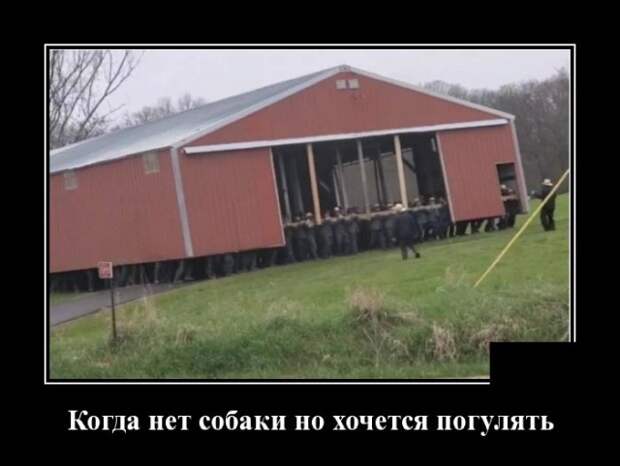 Демотиваторы 16 июля 2021