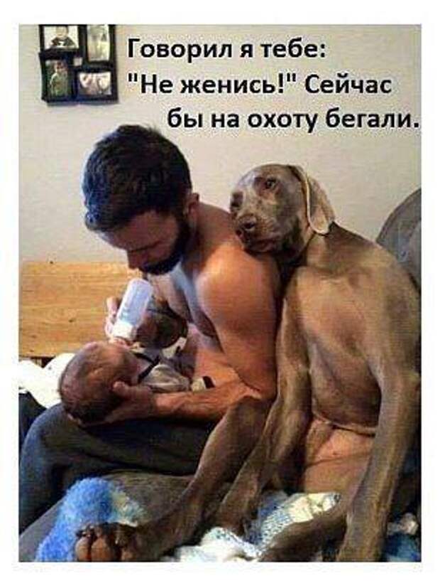 В переводе с древнегреческого слово "варвары" означает "понаехали тут! "