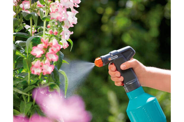 Принципы эффективной защиты растений от болезней и вредителей