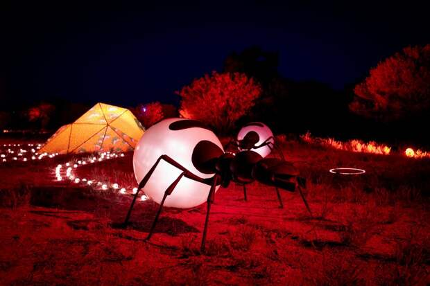 Парртджима 2021: фестиваль световых инсталляций в Австралии