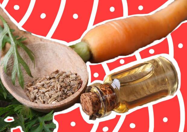 Морковное масло: как приготовить чудо-средство в домашних условиях