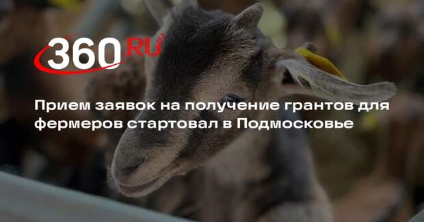 Прием заявок на получение грантов для фермеров стартовал в Подмосковье