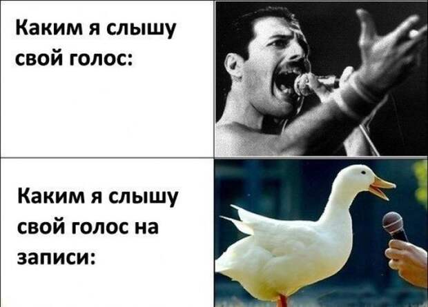 Колкий юмор Колкий юмор