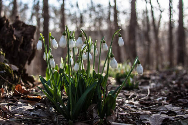 Сразу видно, что погода — женского рода. Всякие там дядьки-синоптики пытаются её спрогнозировать, а она что хочет, то и чудит! Представляем прогноз на 5 апреля в Туле
