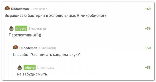 Забавные комментарии из социальных сетей