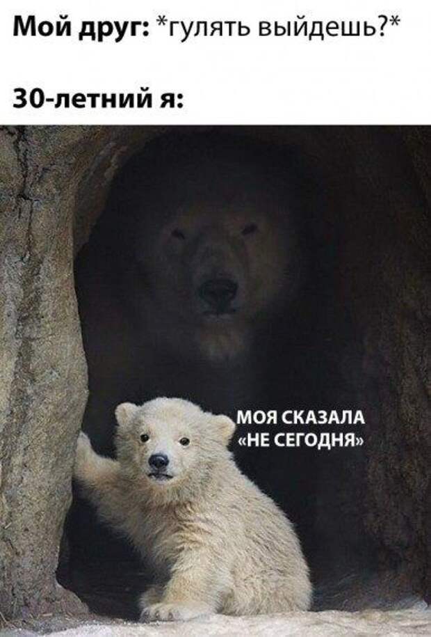 Прикольные картинки в ассортименте!!!