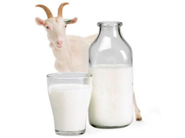 Как хранить молоко и молочные продукты