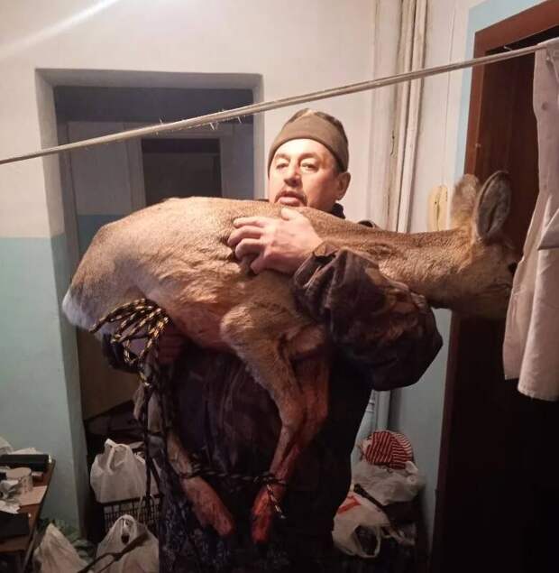 В Красноярском крае спасли косулю, запрыгнувшую в квартиру к пенсионеру