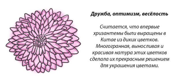 У каждого месяца есть цветок-покровитель. Какой он у вас?