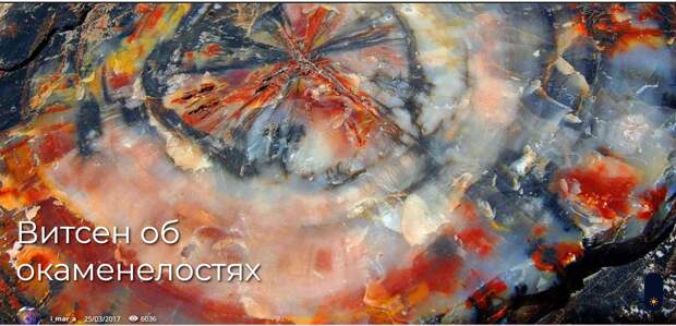 Витсен об окаменелостях