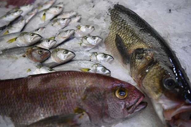 Фото: Komsomolskaya Pravda/Global Look Press/www.globallookpress.com