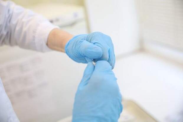 В Петербурге подтвердили случаи оспы обезьян у туристов вернувшихся из Таиланда