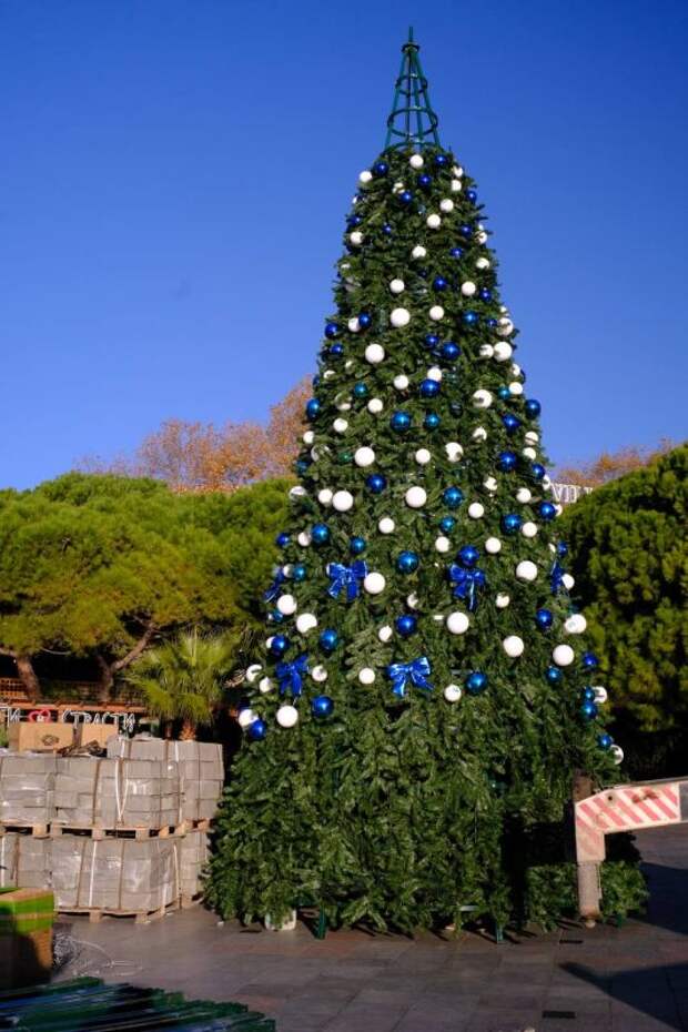На набережной Ялты уже появилась новогодняя ель